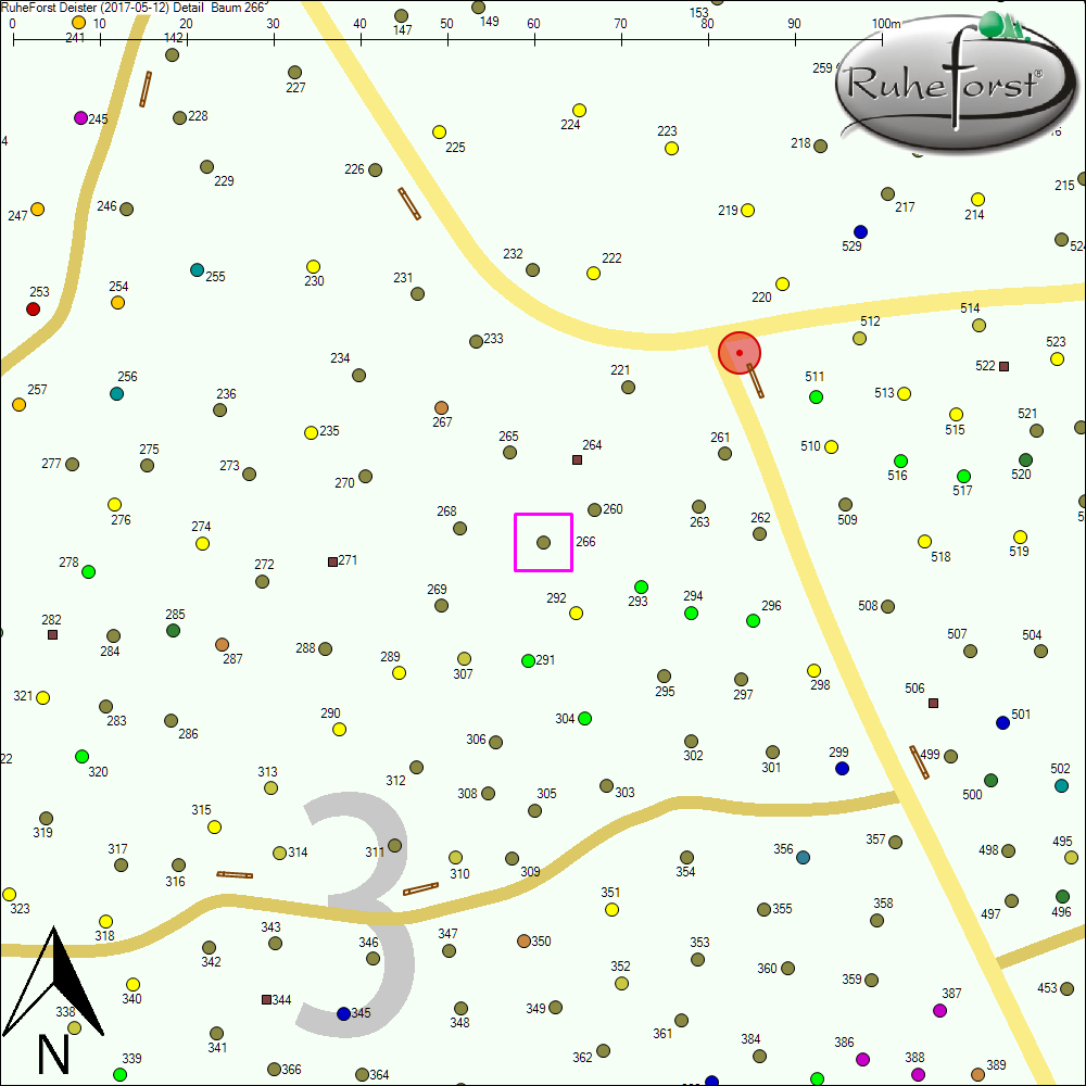 Detailkarte zu Baum 266