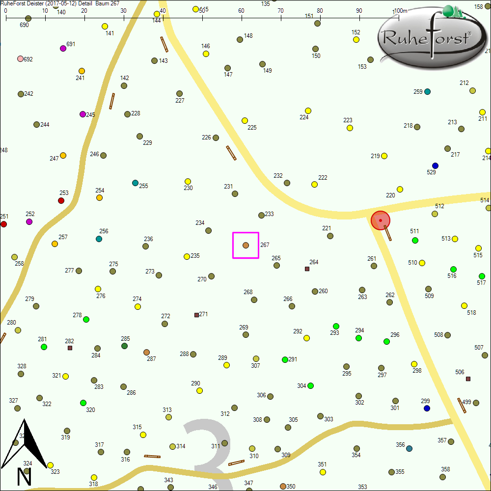 Detailkarte zu Baum 267