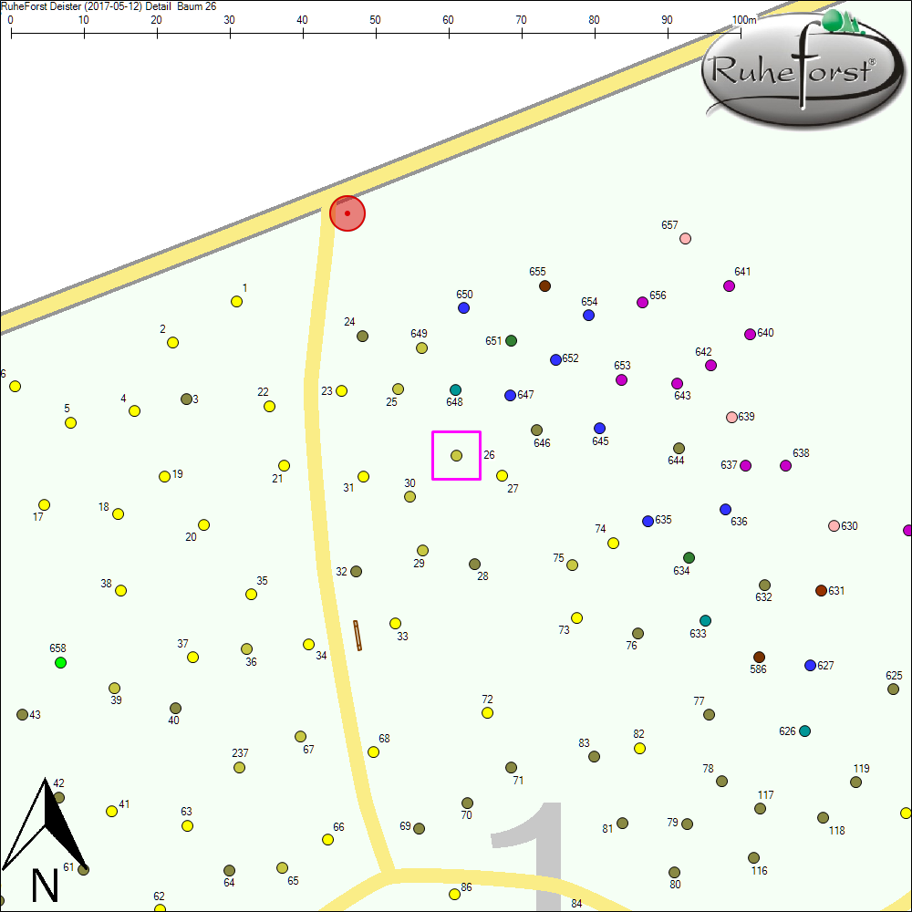 Detailkarte zu Baum 26