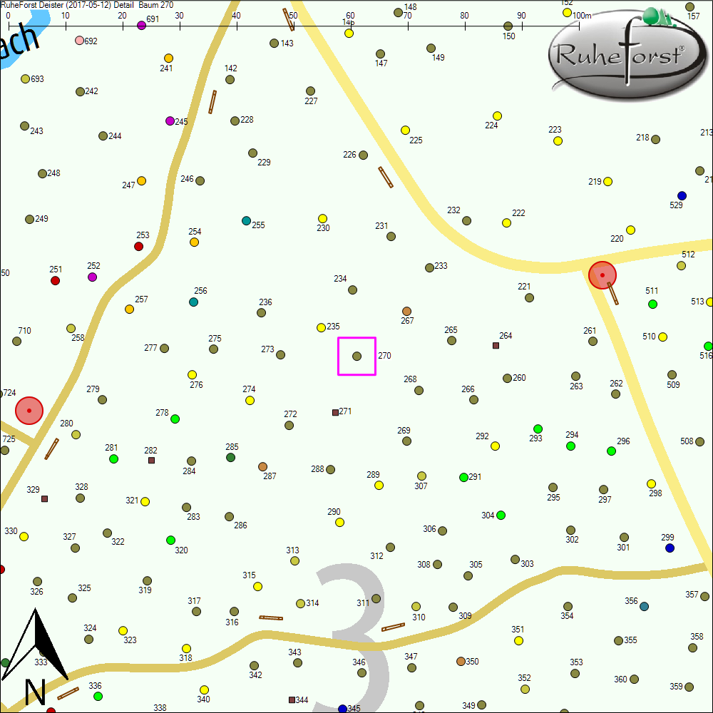 Detailkarte zu Baum 270