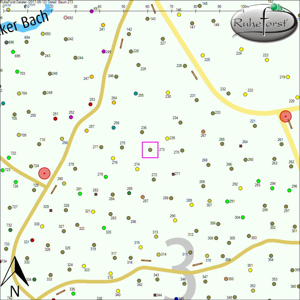 Detailkarte zu Baum 273
