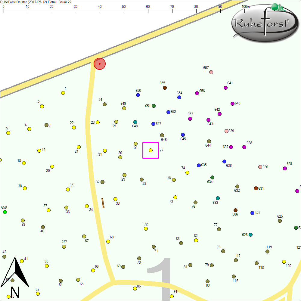 Detailkarte zu Baum 27