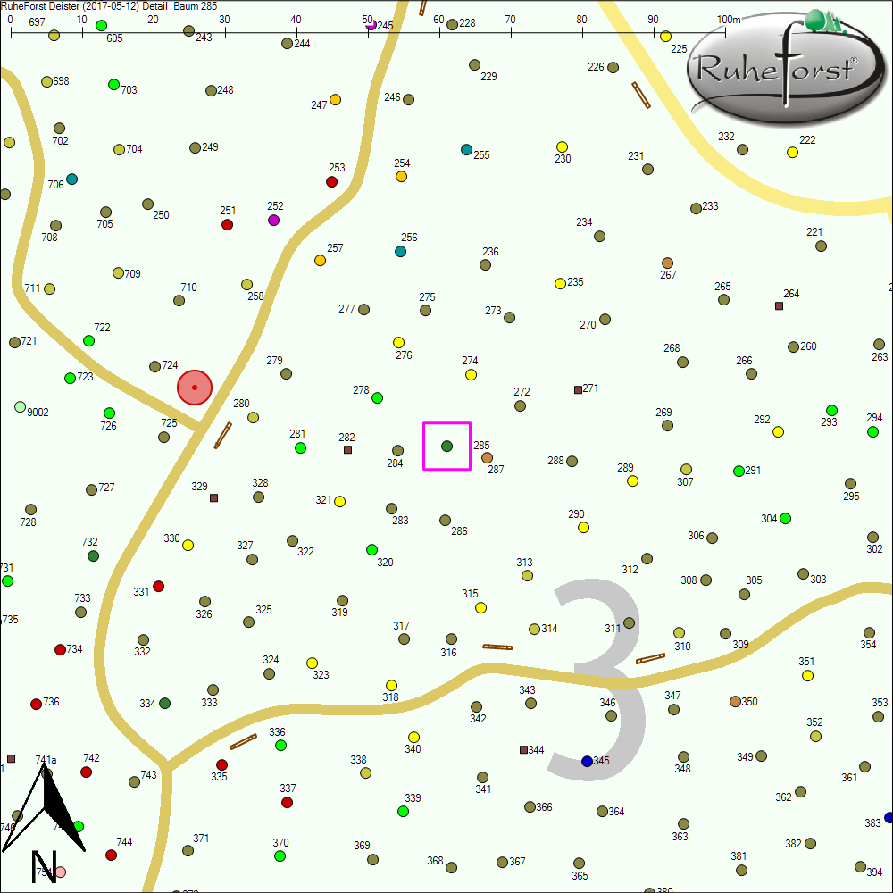 Detailkarte zu Baum 285