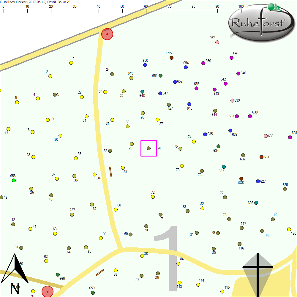Detailkarte zu Baum 28