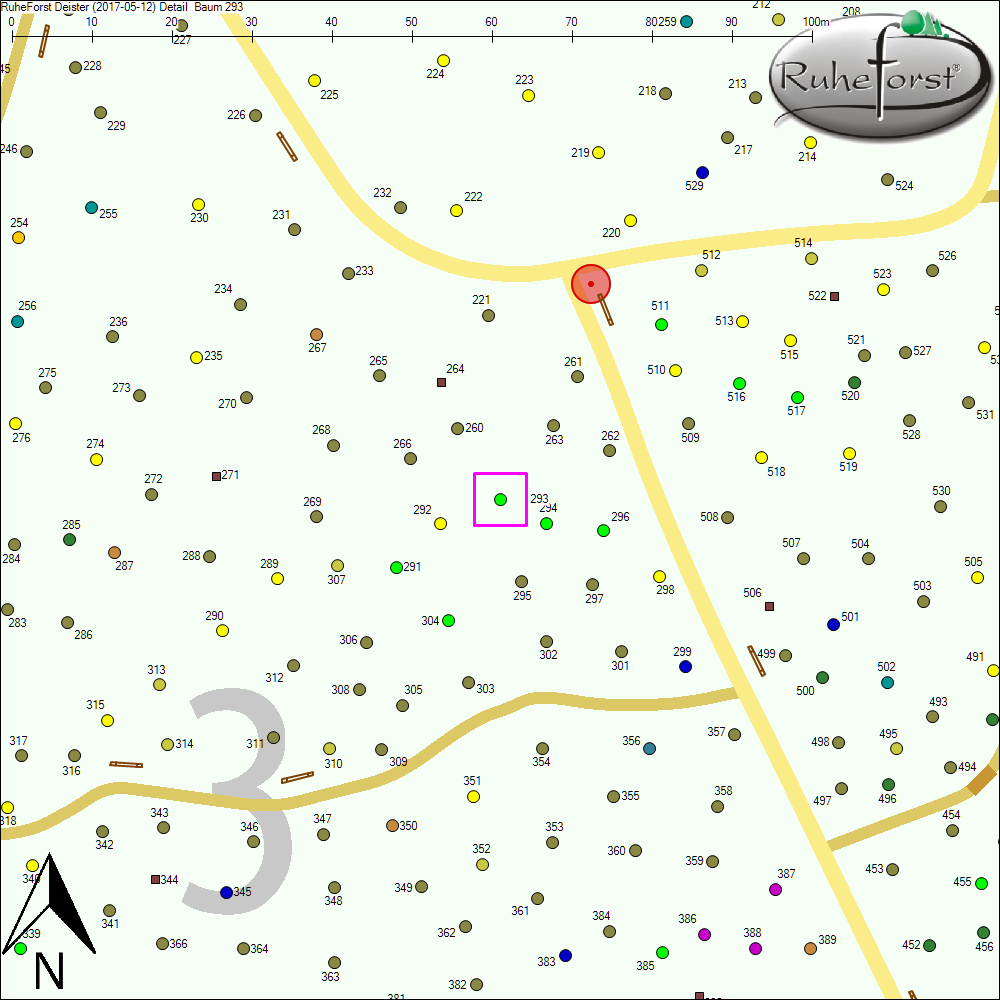 Detailkarte zu Baum 293