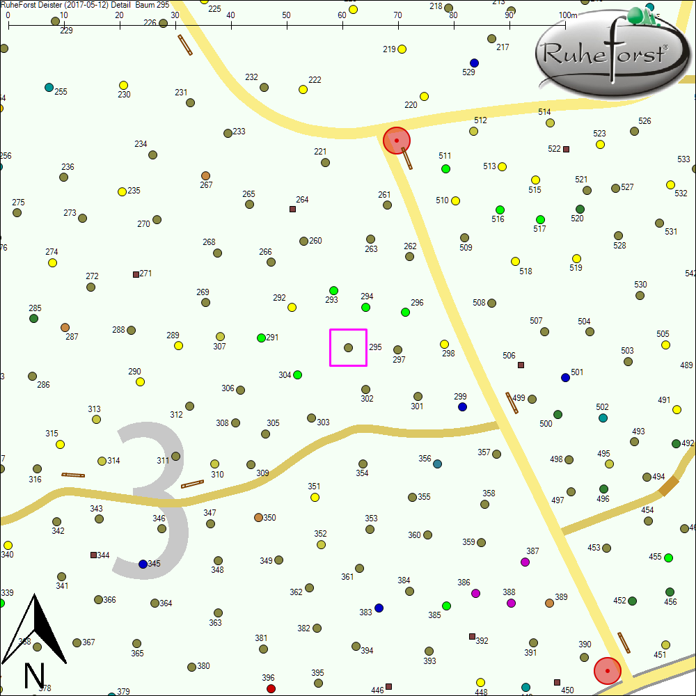 Detailkarte zu Baum 295
