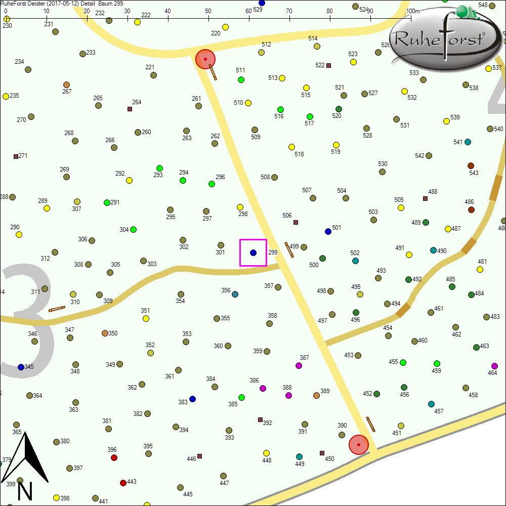 Detailkarte zu Baum 299
