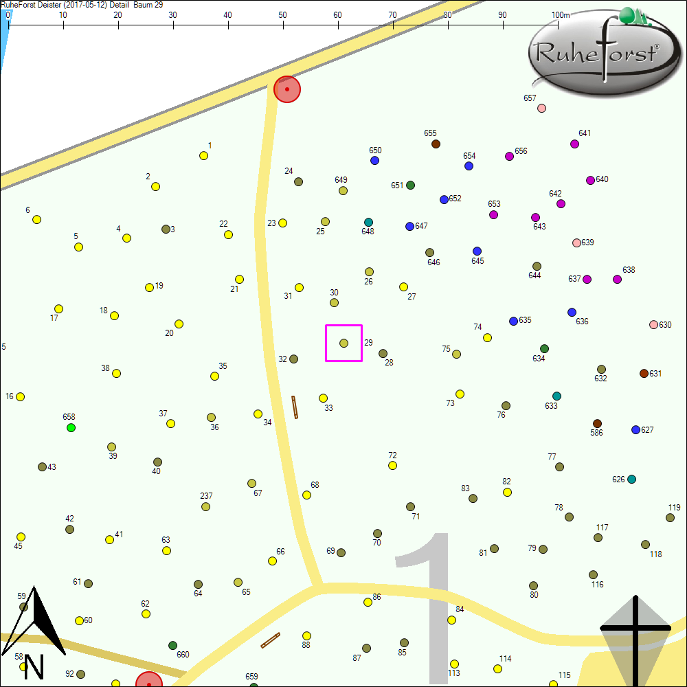 Detailkarte zu Baum 29