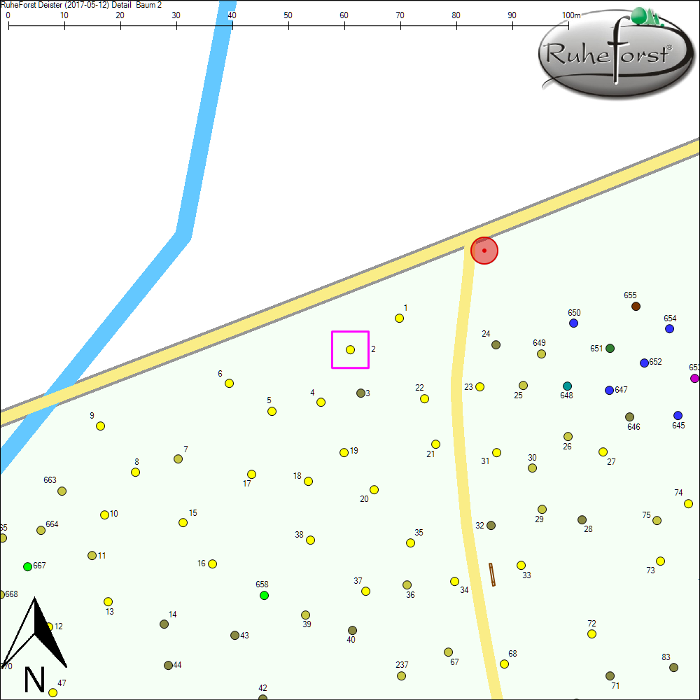 Detailkarte zu Baum 2