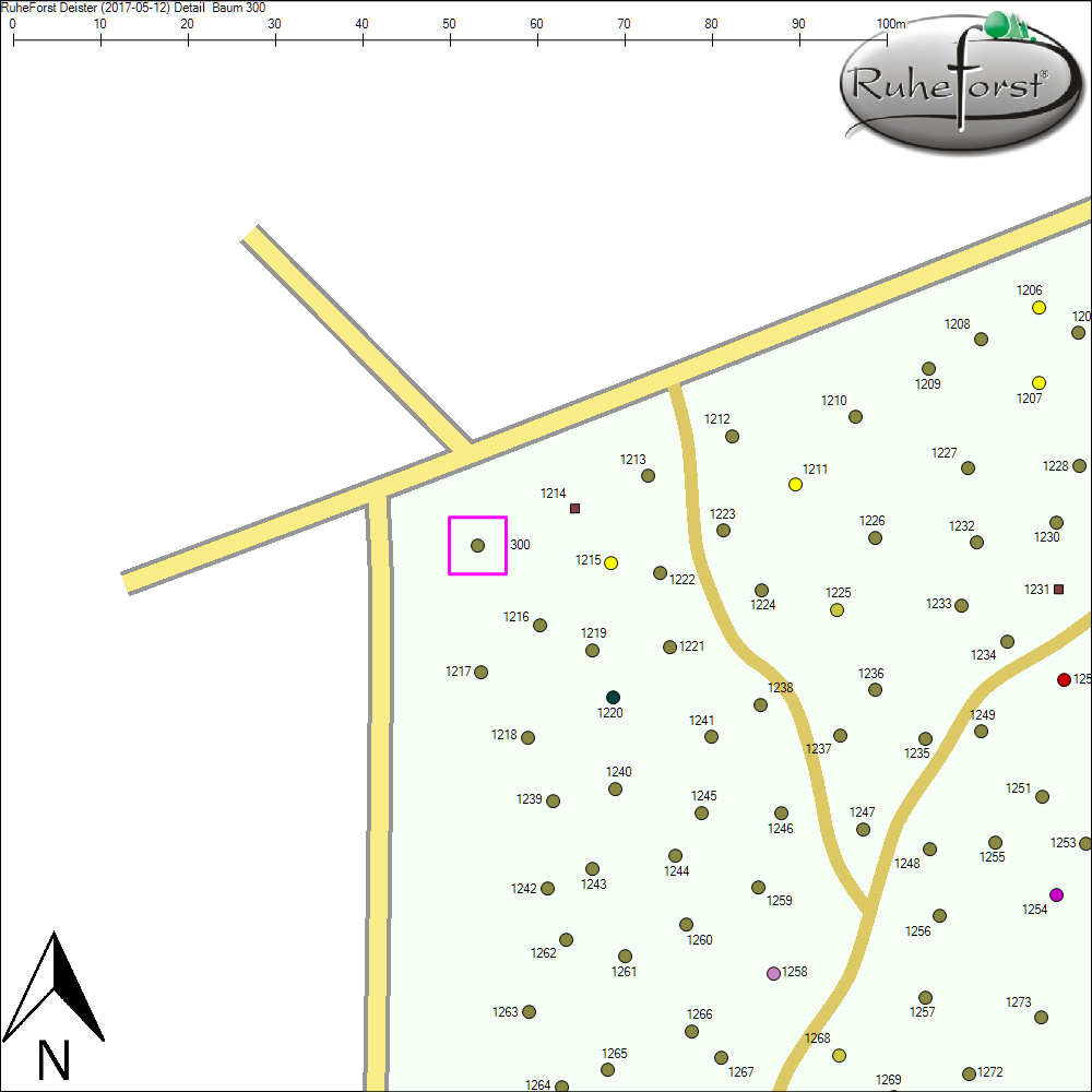 Detailkarte zu Baum 300