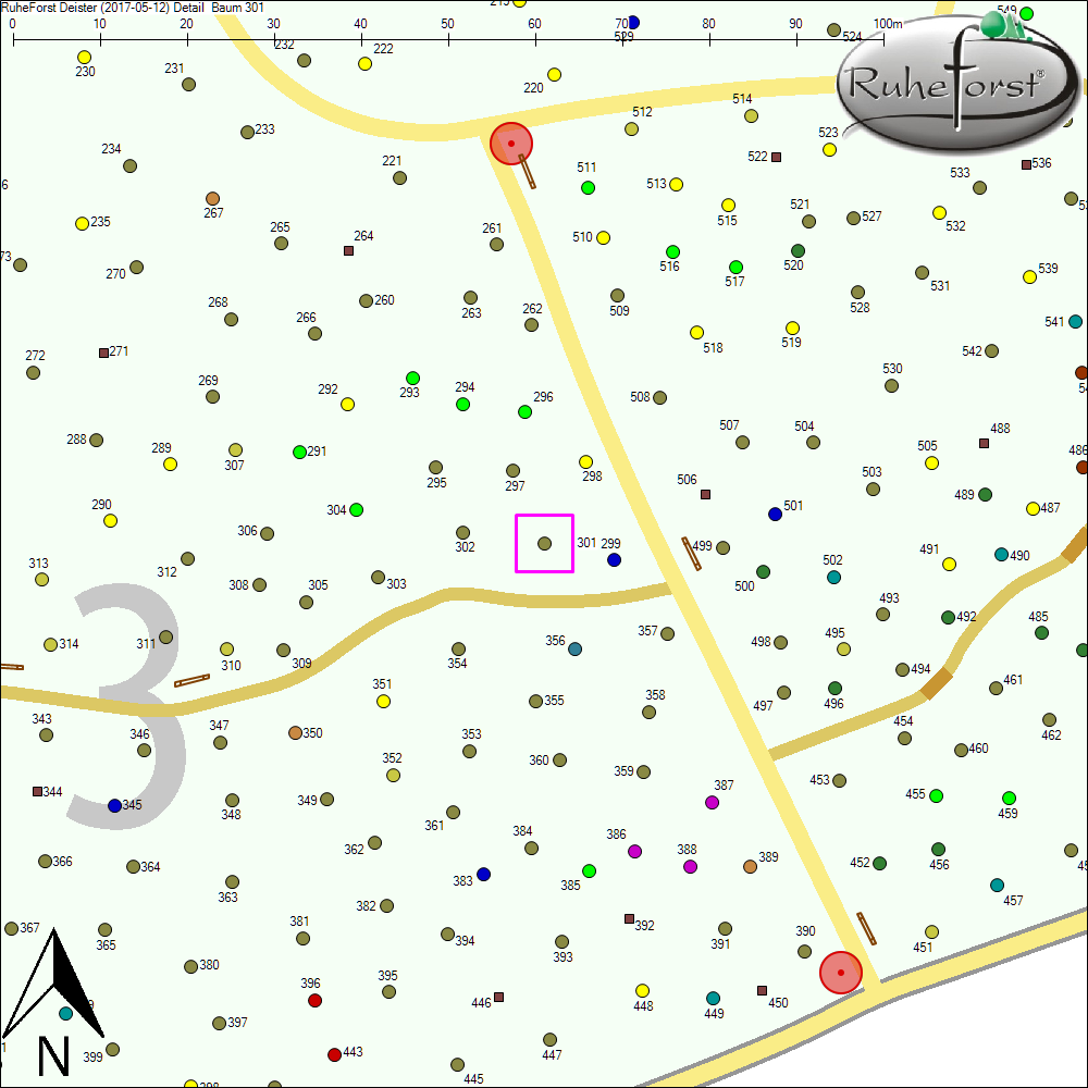 Detailkarte zu Baum 301