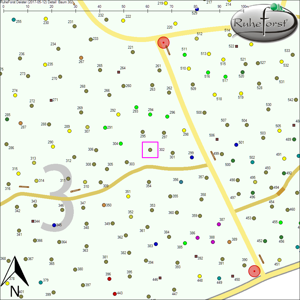 Detailkarte zu Baum 302