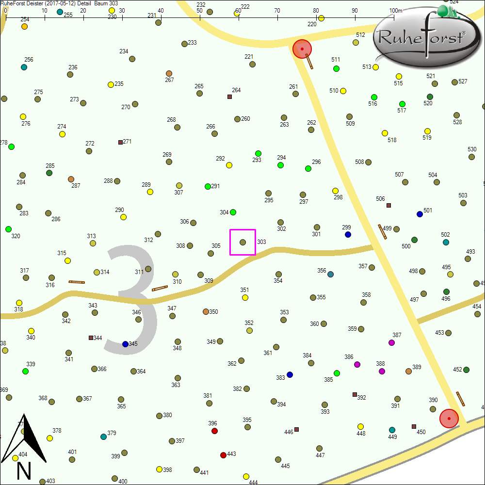 Detailkarte zu Baum 303