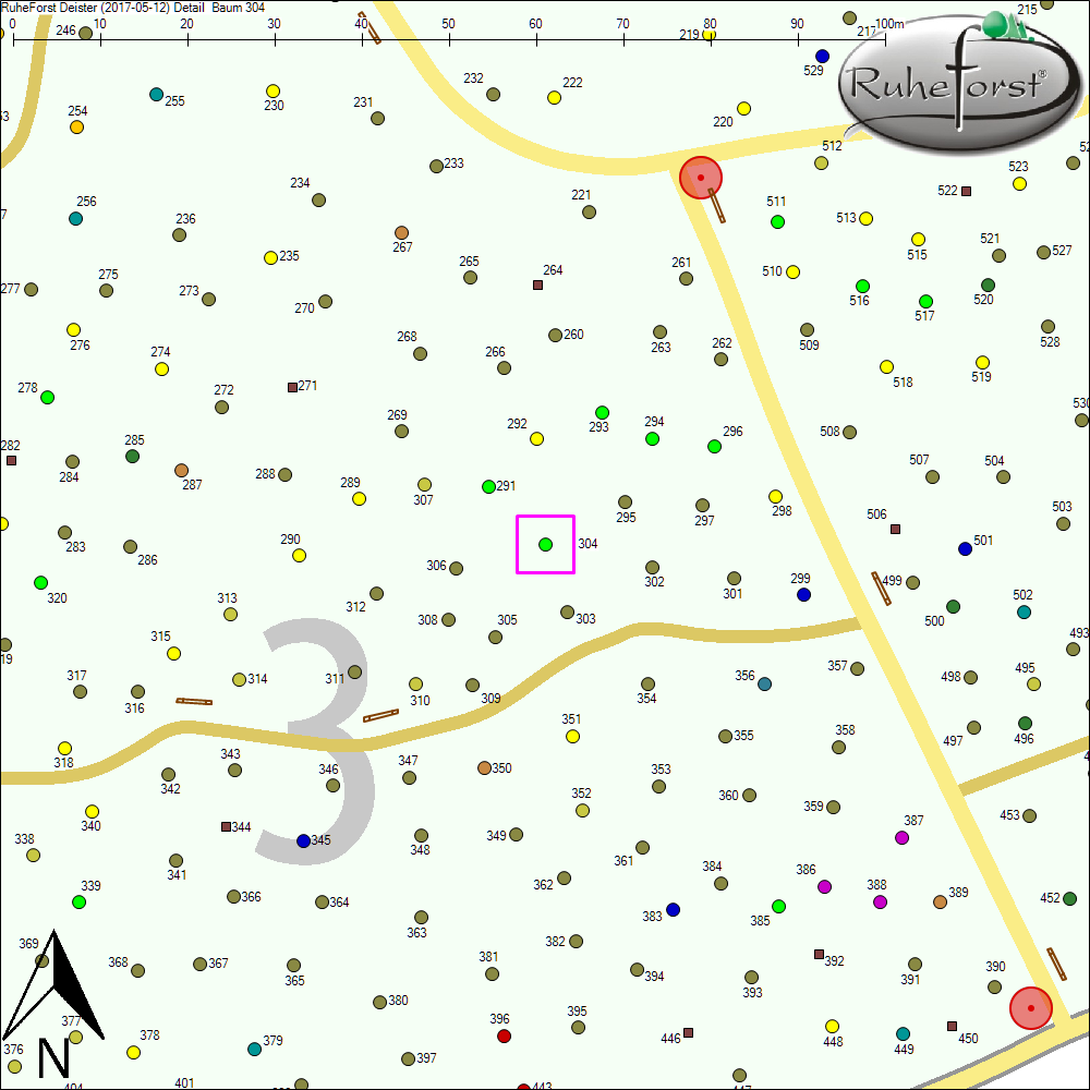 Detailkarte zu Baum 304