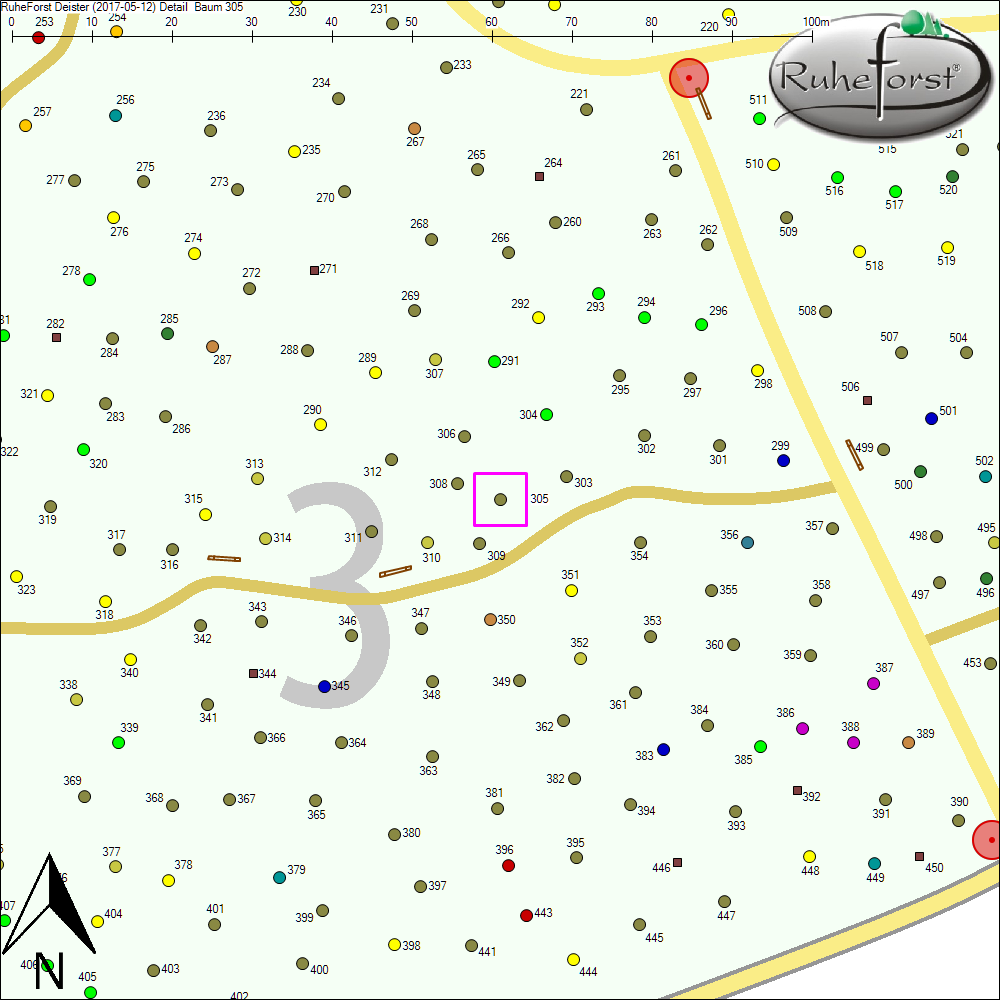Detailkarte zu Baum 305