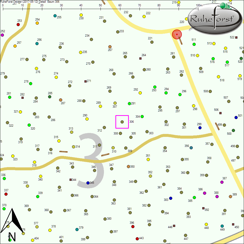 Detailkarte zu Baum 306