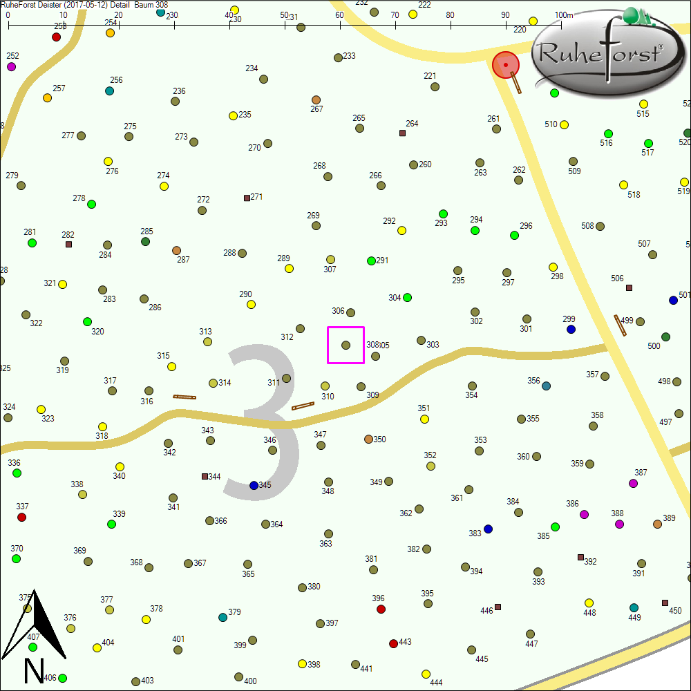 Detailkarte zu Baum 308
