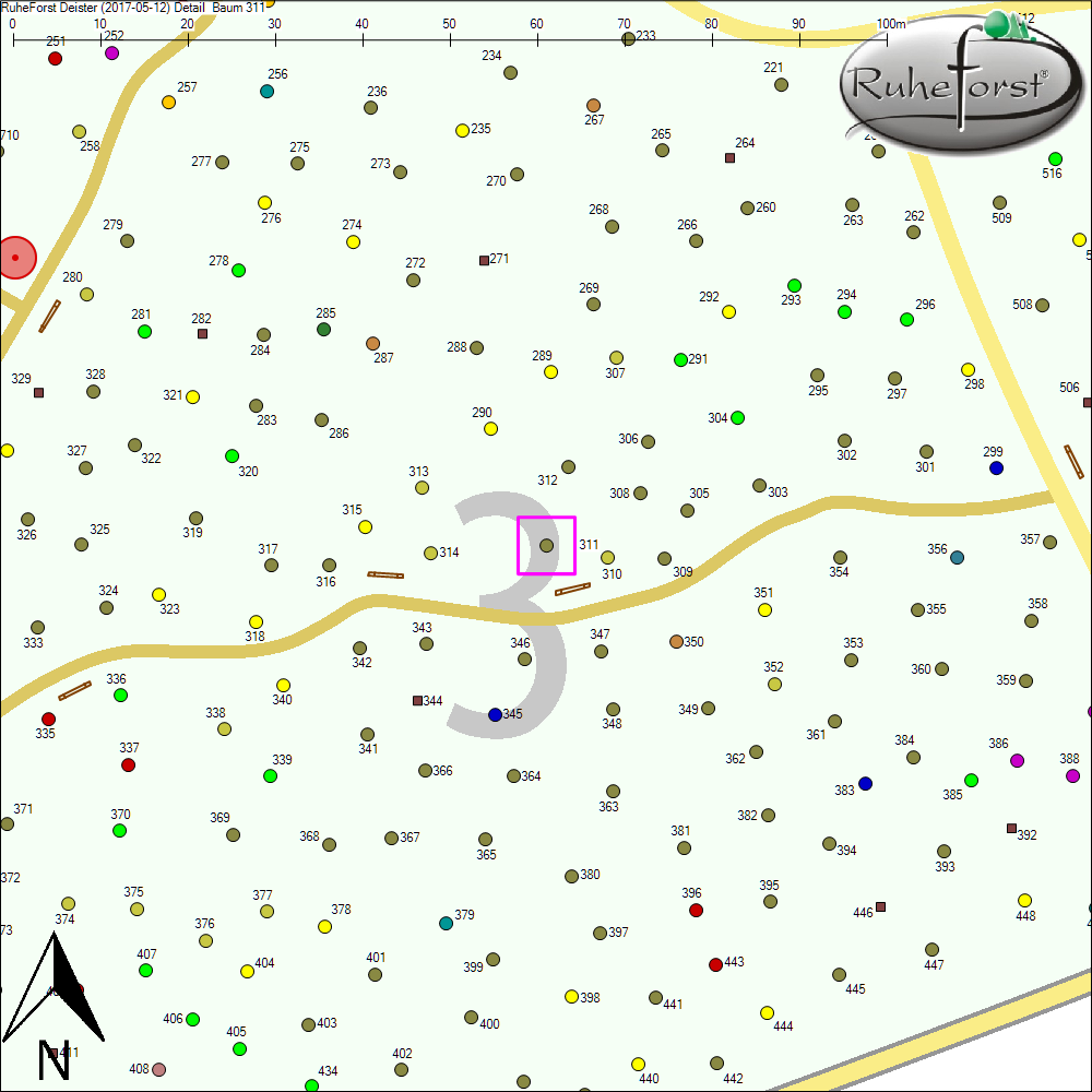 Detailkarte zu Baum 311