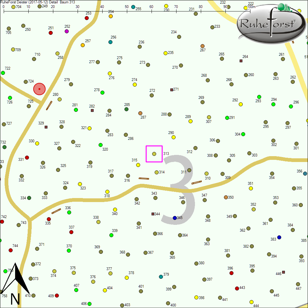 Detailkarte zu Baum 313