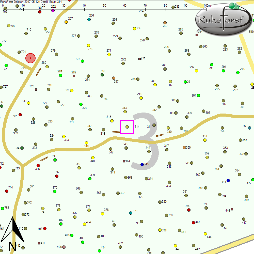 Detailkarte zu Baum 314