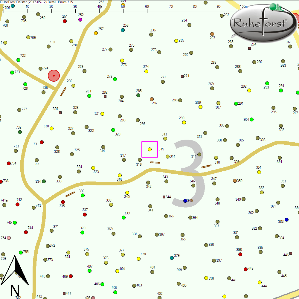 Detailkarte zu Baum 315