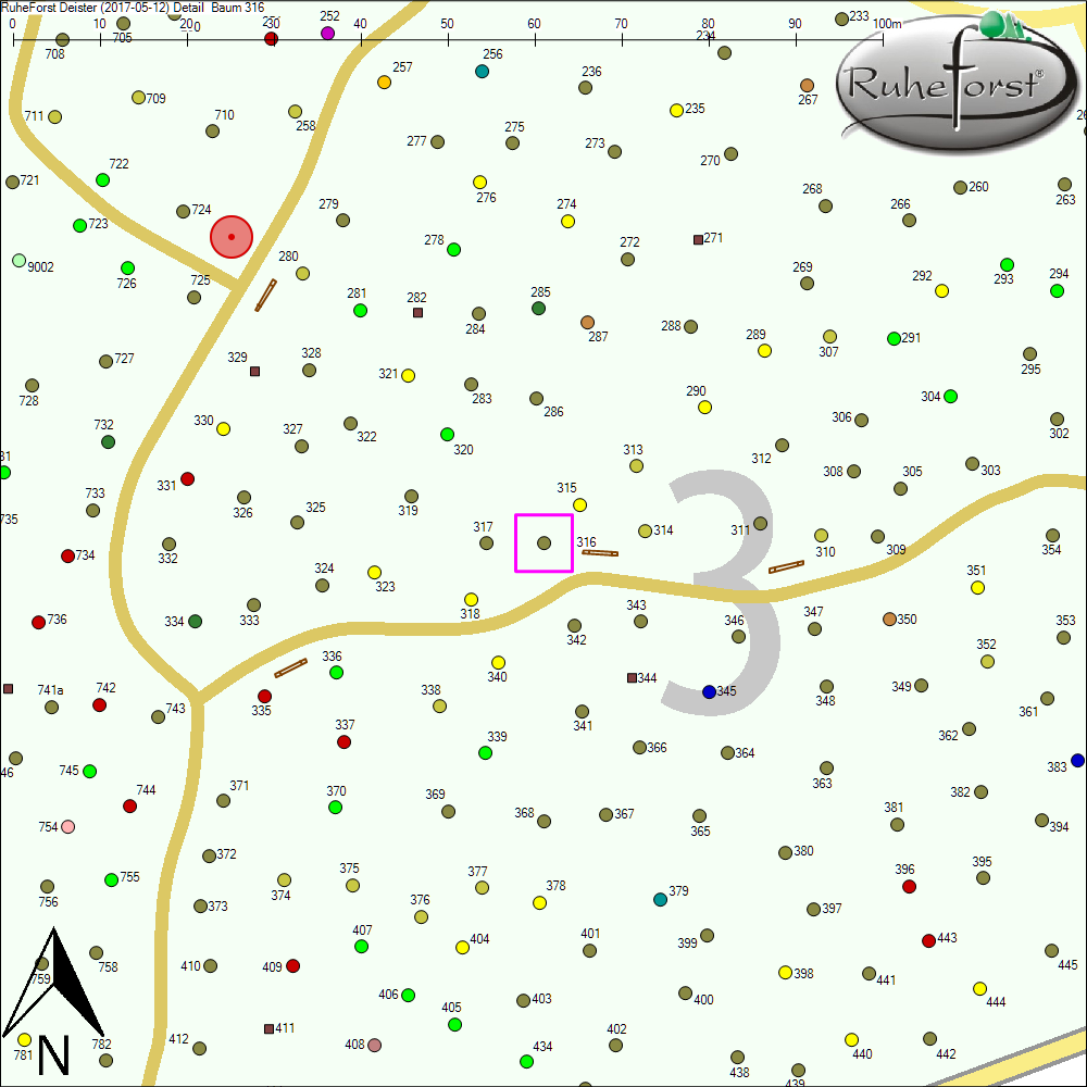 Detailkarte zu Baum 316