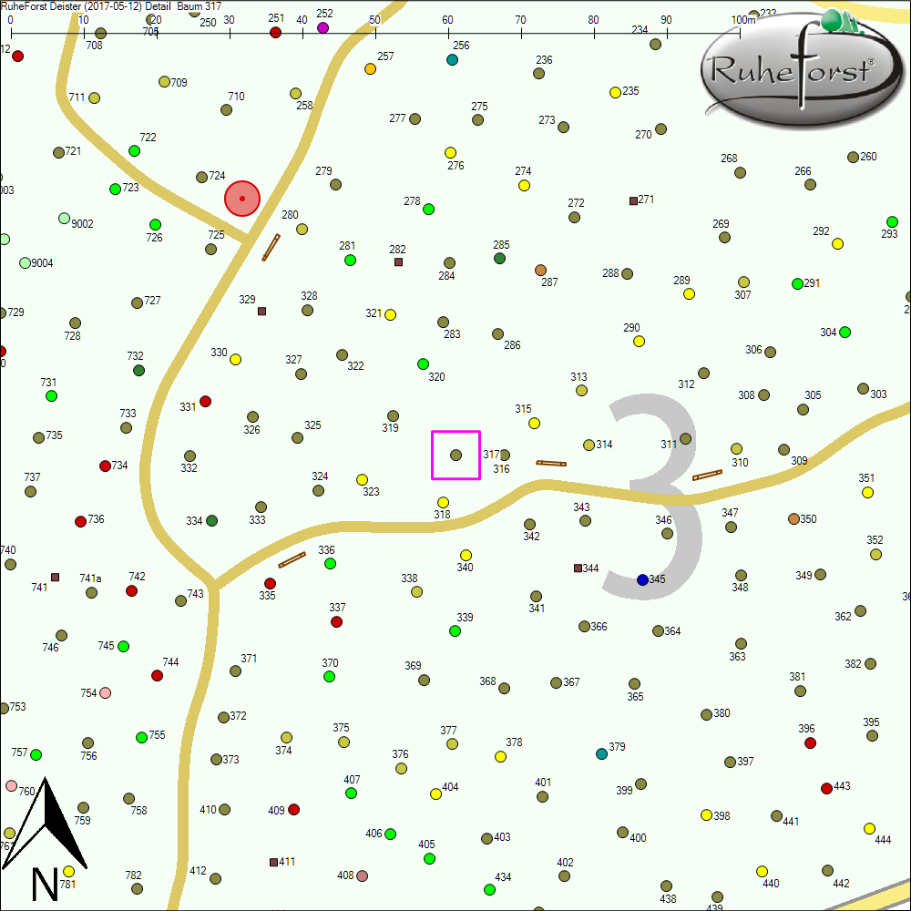 Detailkarte zu Baum 317
