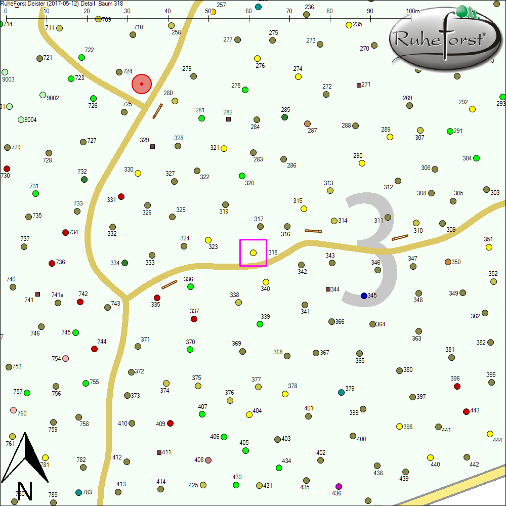 Detailkarte zu Baum 318