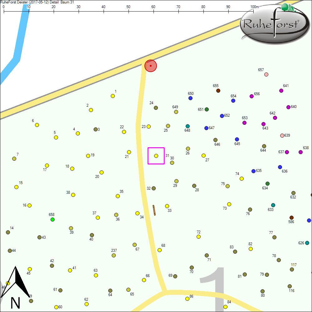 Detailkarte zu Baum 31
