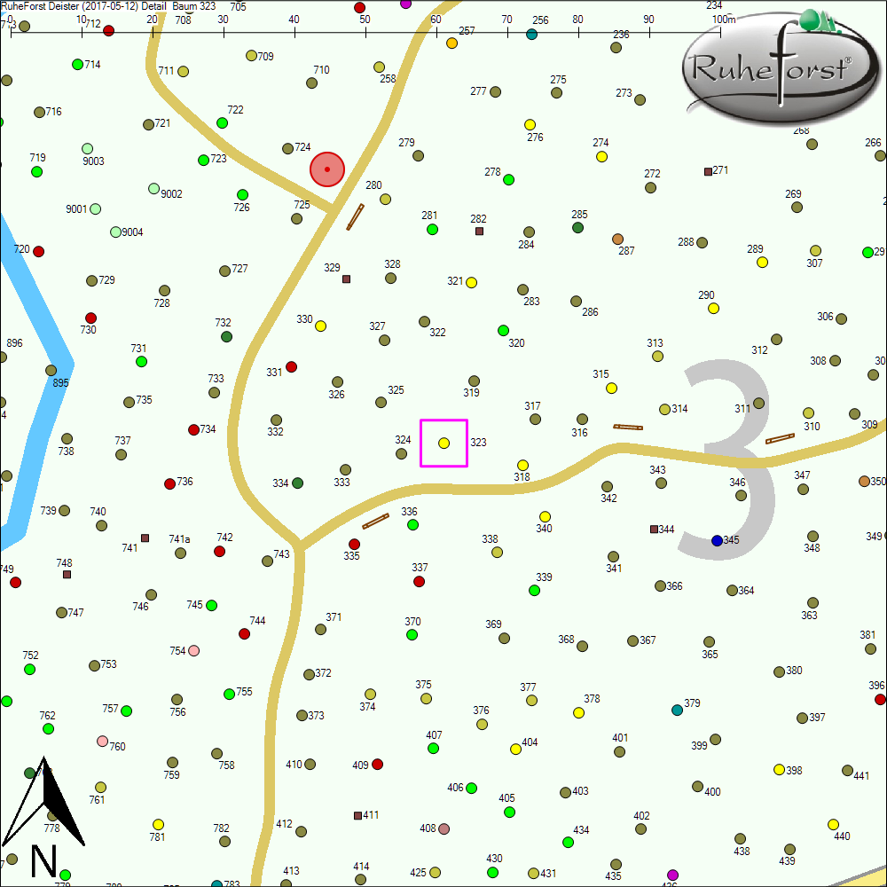 Detailkarte zu Baum 323