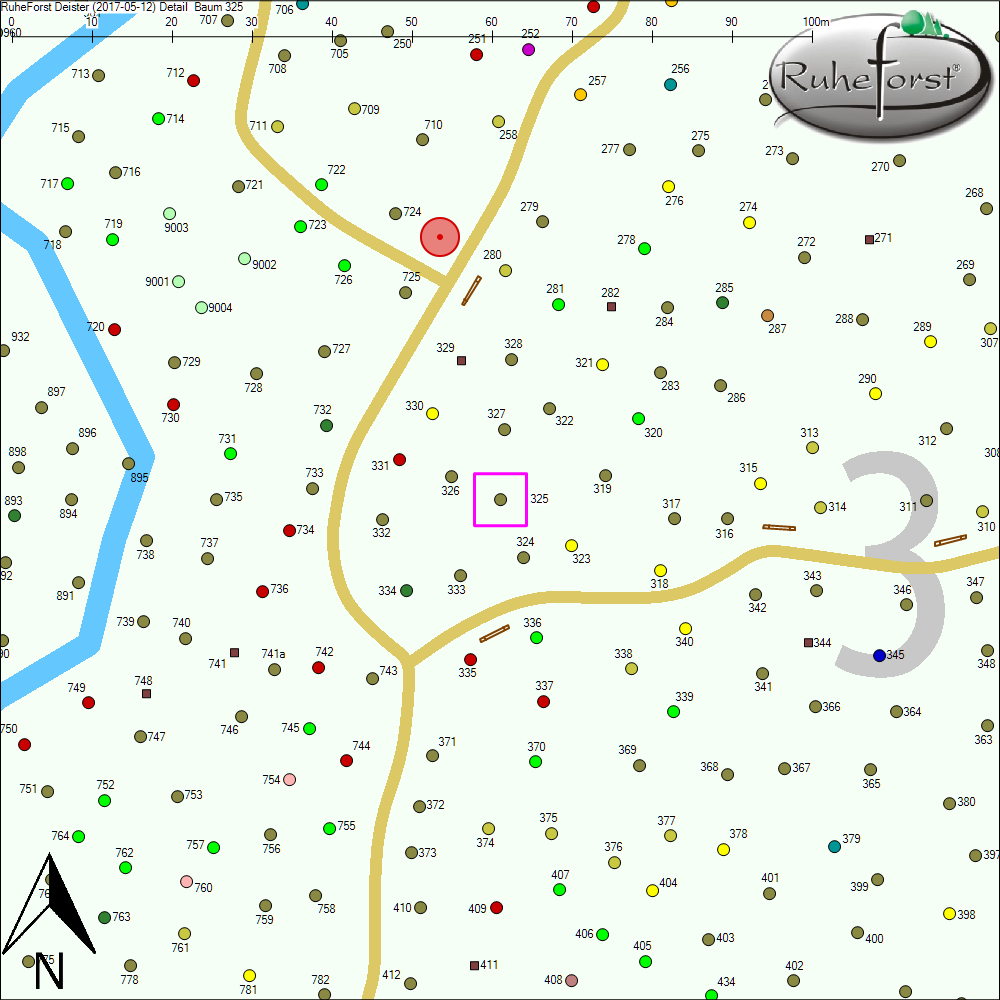 Detailkarte zu Baum 325