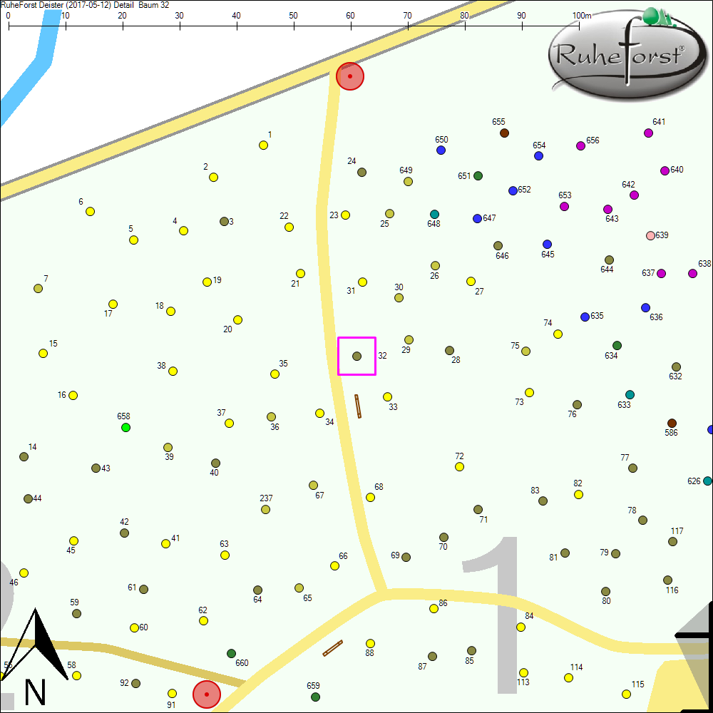 Detailkarte zu Baum 32