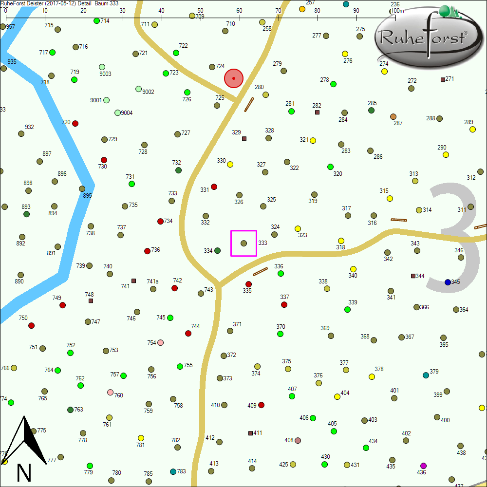 Detailkarte zu Baum 333