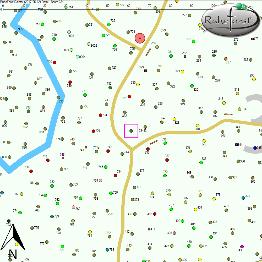 Detailkarte zu Baum 334
