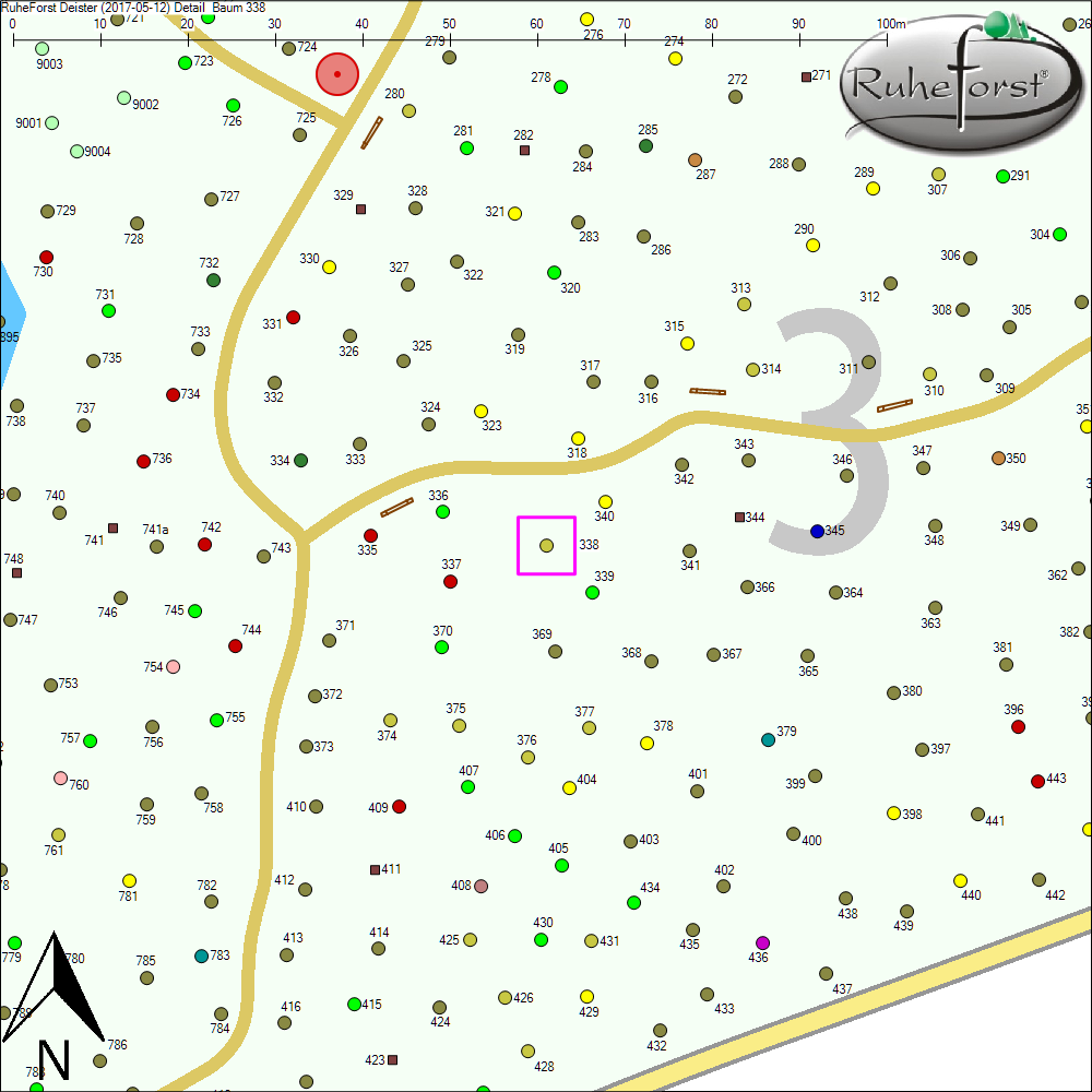 Detailkarte zu Baum 338