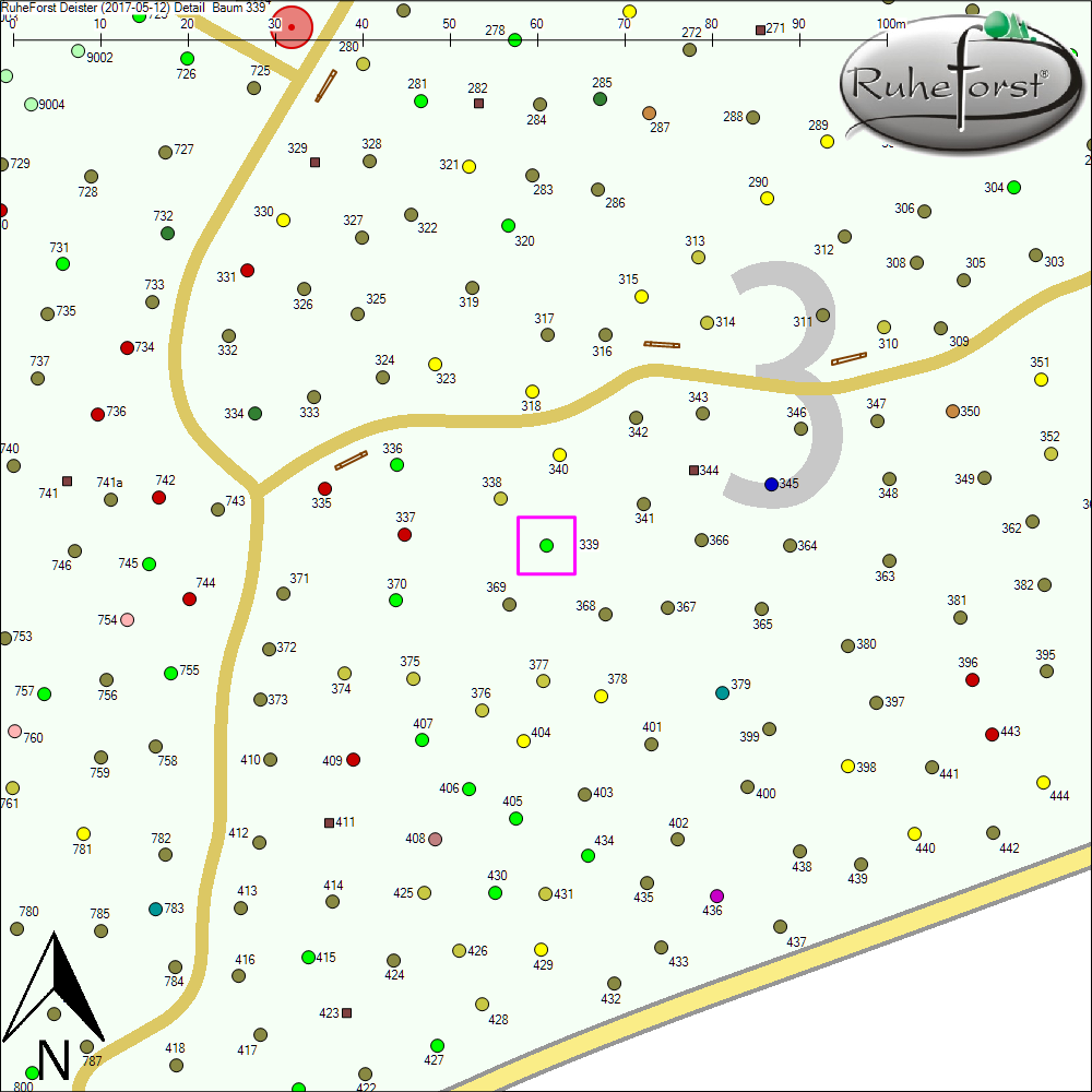 Detailkarte zu Baum 339
