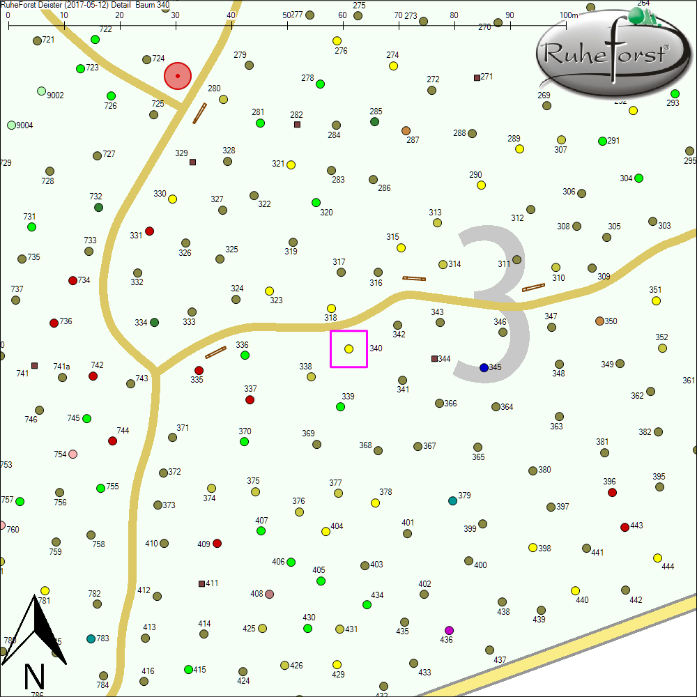 Detailkarte zu Baum 340