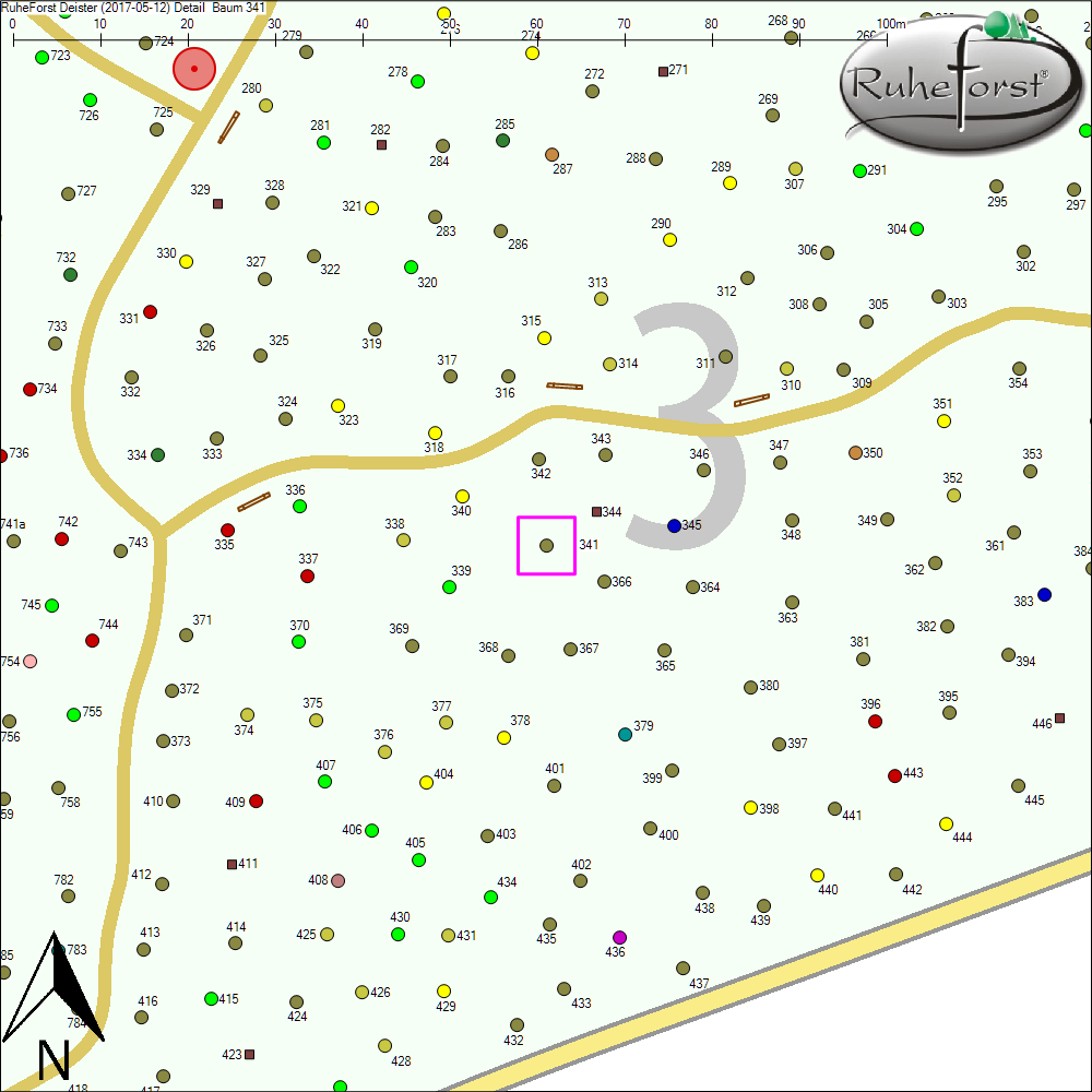 Detailkarte zu Baum 341