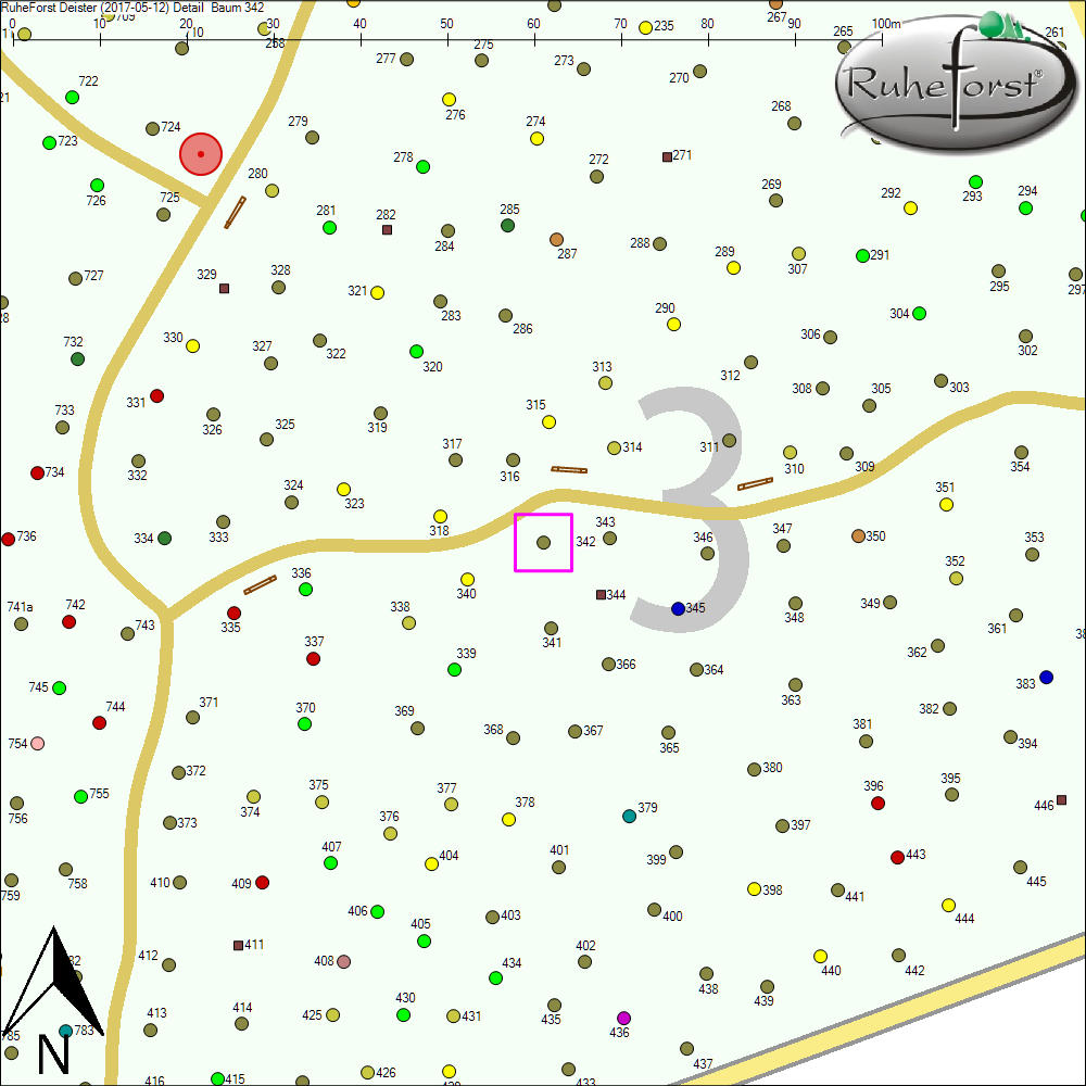 Detailkarte zu Baum 342