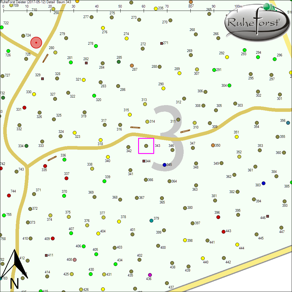 Detailkarte zu Baum 343