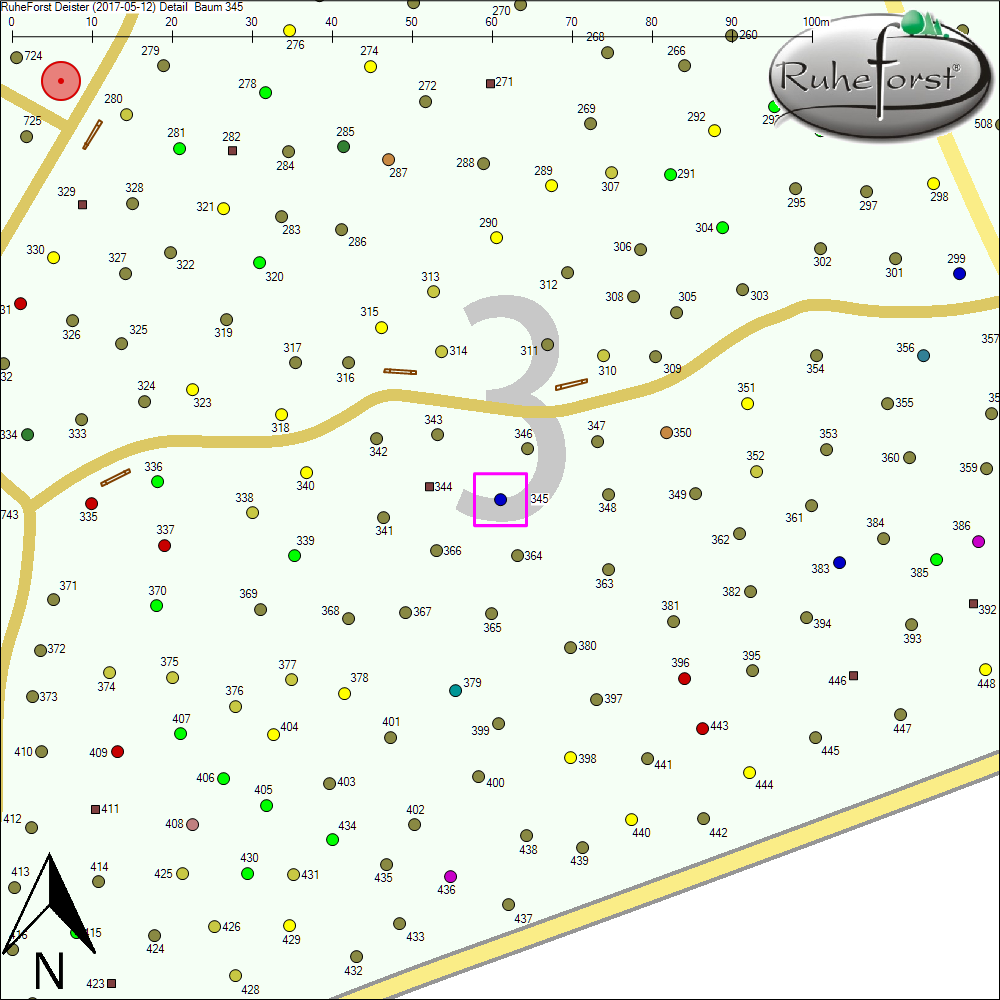 Detailkarte zu Baum 345