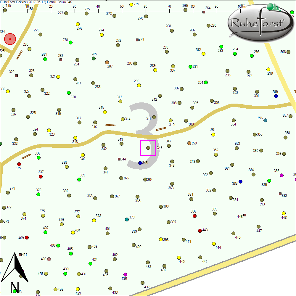 Detailkarte zu Baum 346