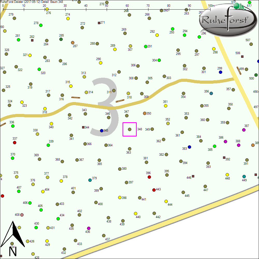 Detailkarte zu Baum 348