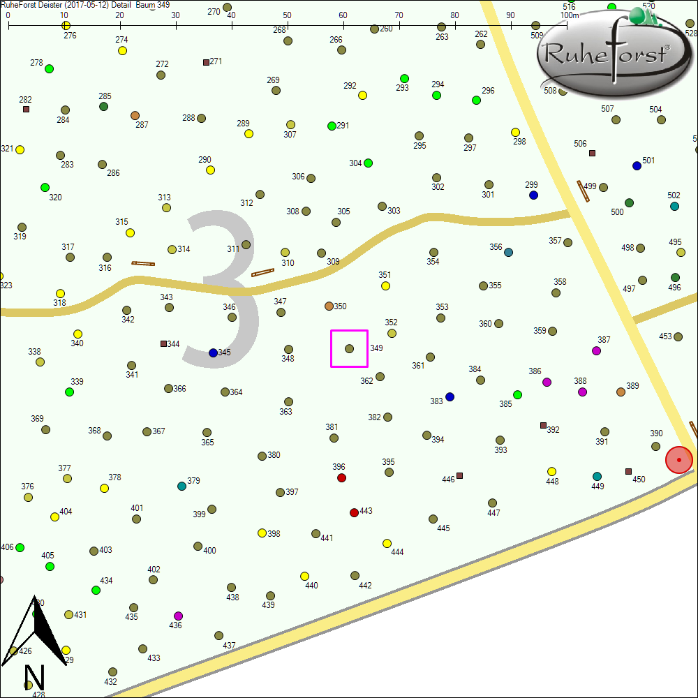Detailkarte zu Baum 349