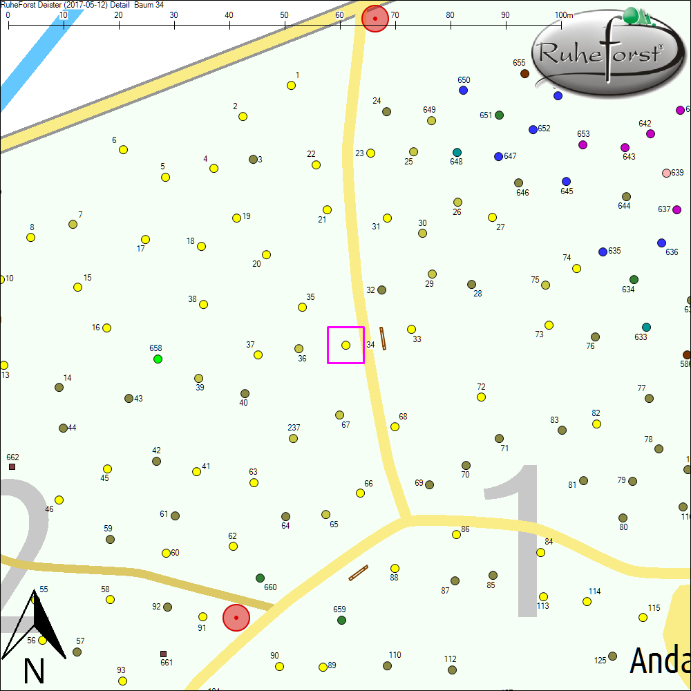 Detailkarte zu Baum 34