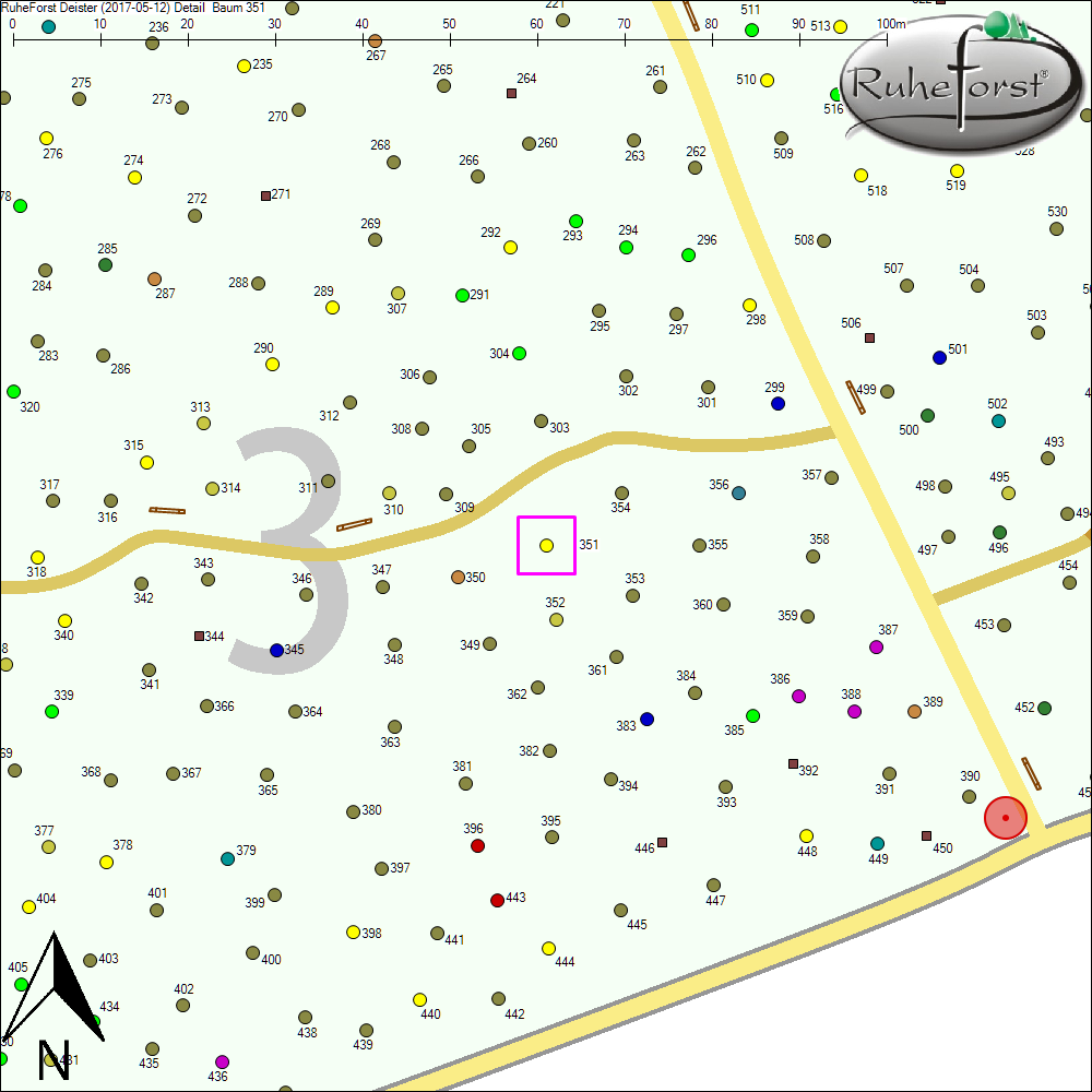 Detailkarte zu Baum 351