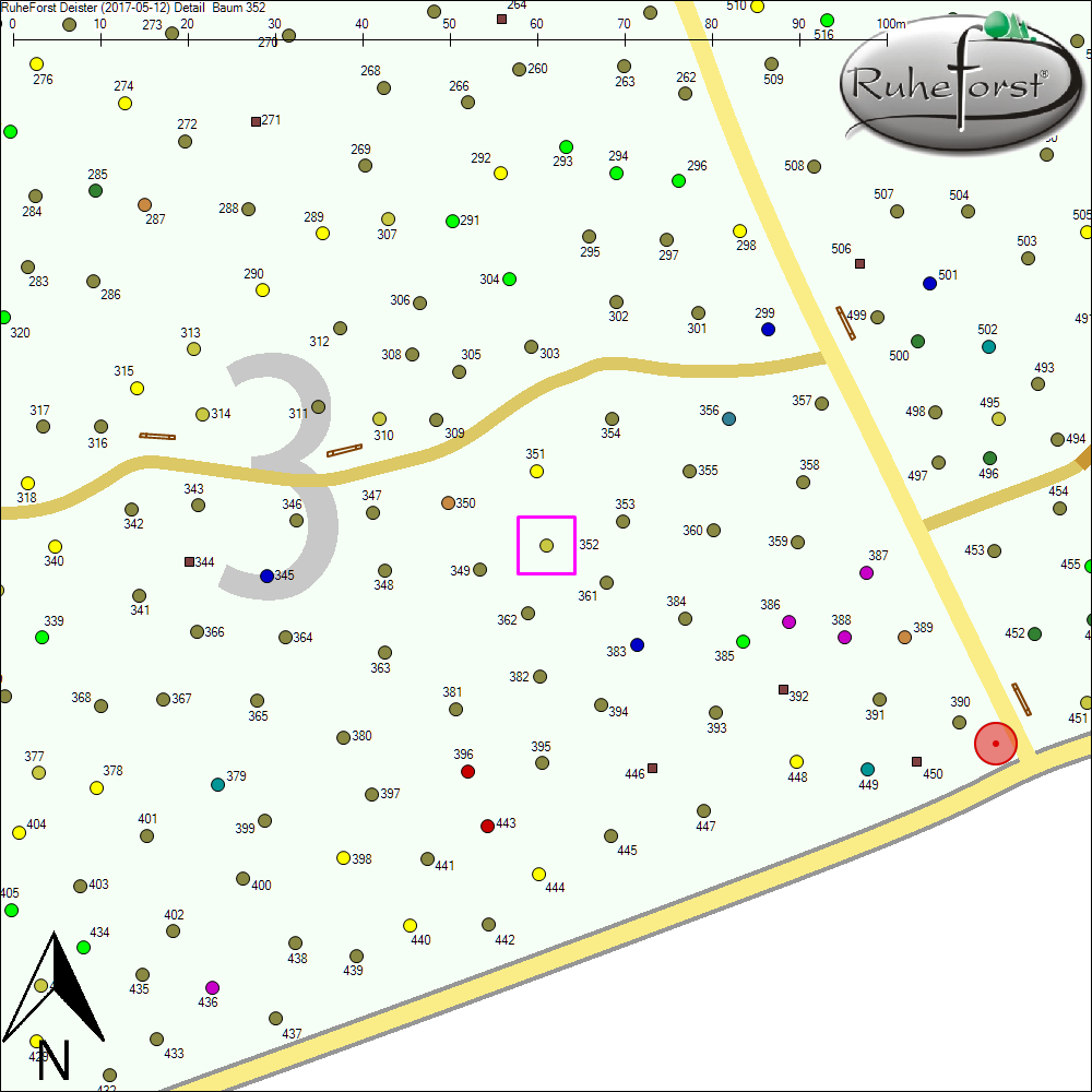 Detailkarte zu Baum 352