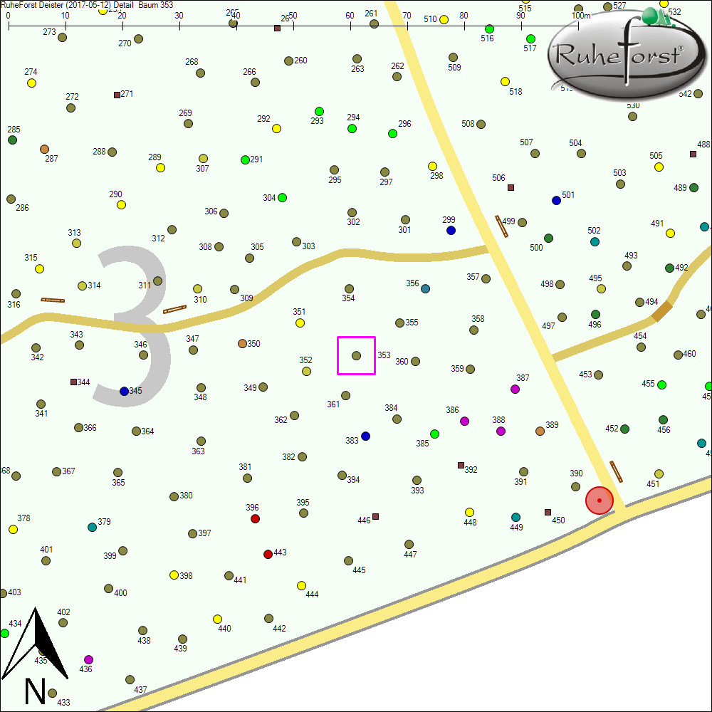 Detailkarte zu Baum 353