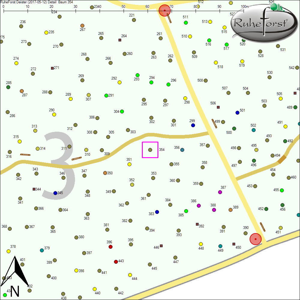 Detailkarte zu Baum 354
