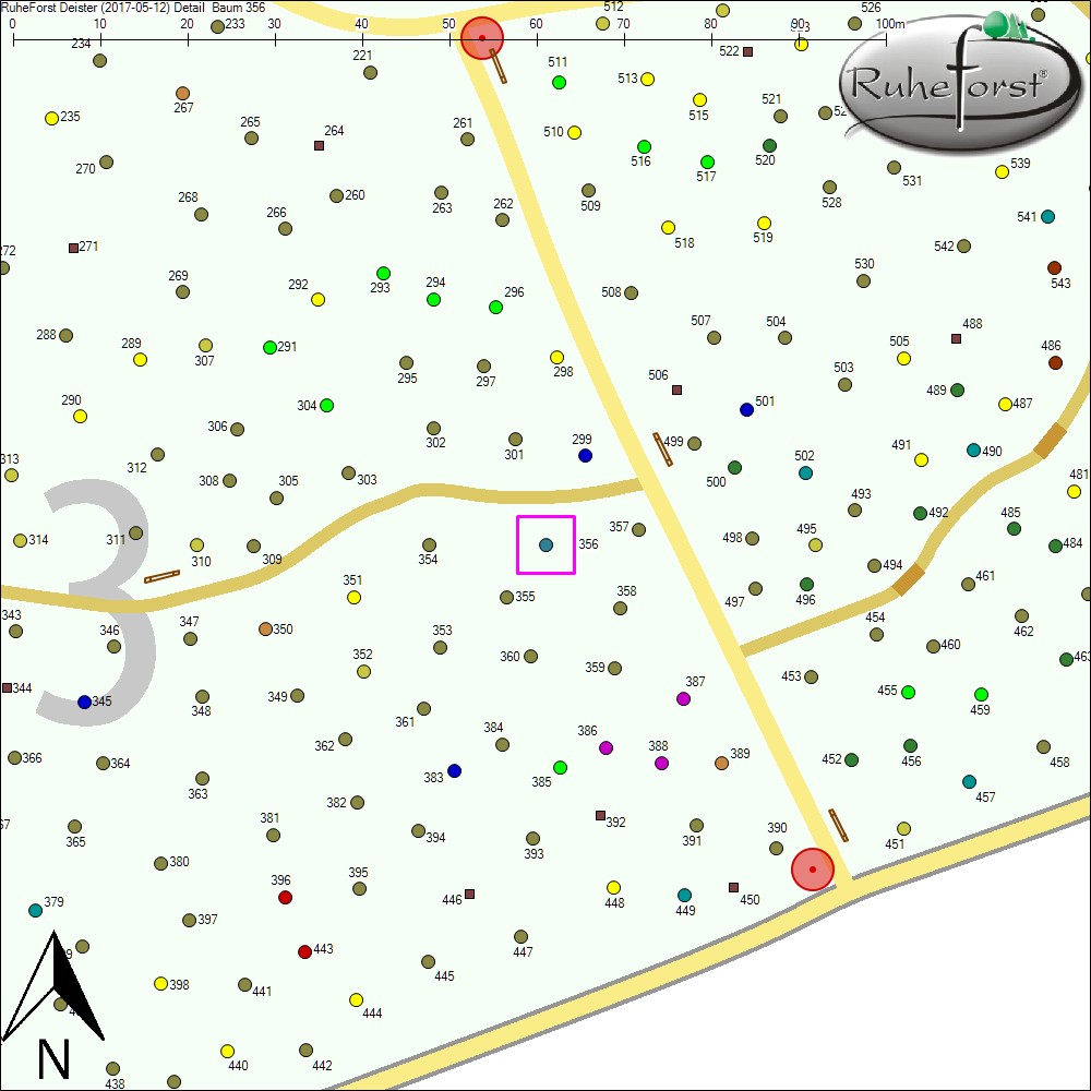 Detailkarte zu Baum 356